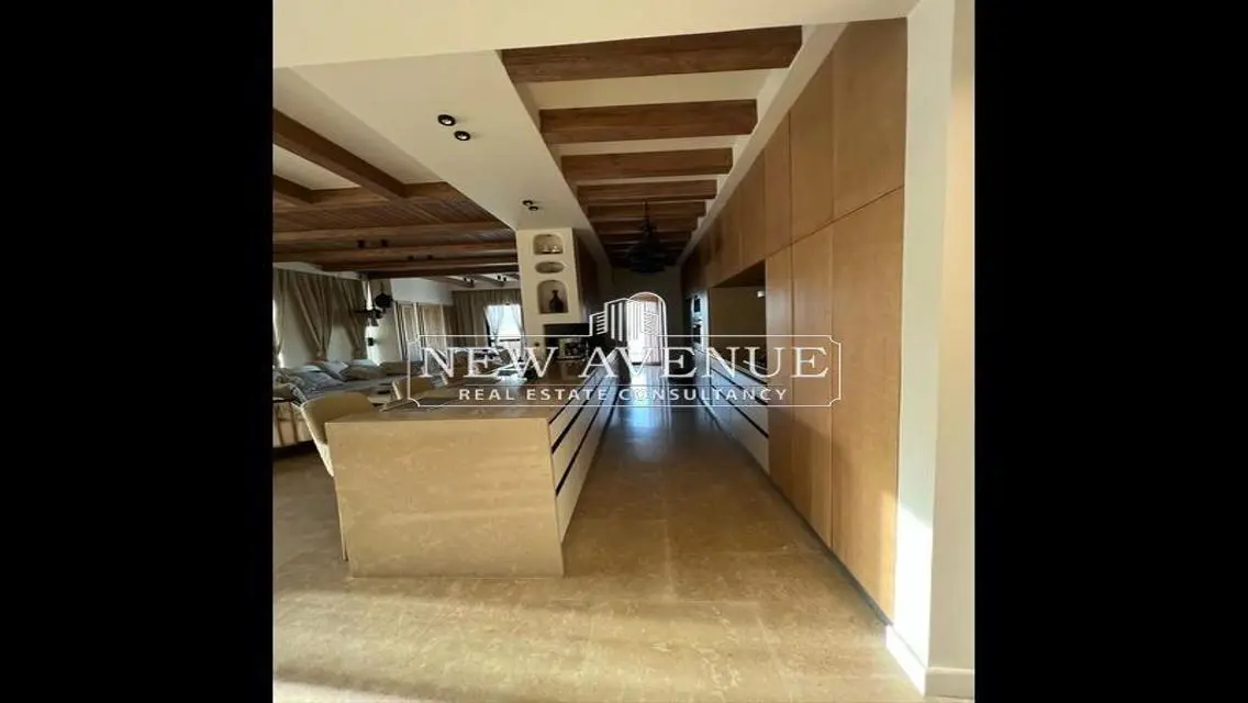 High end finishing Twin House in Villette sodic