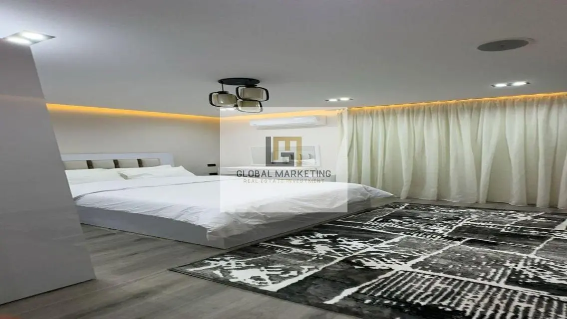 furnished duplex with garden for rent in Hyde park