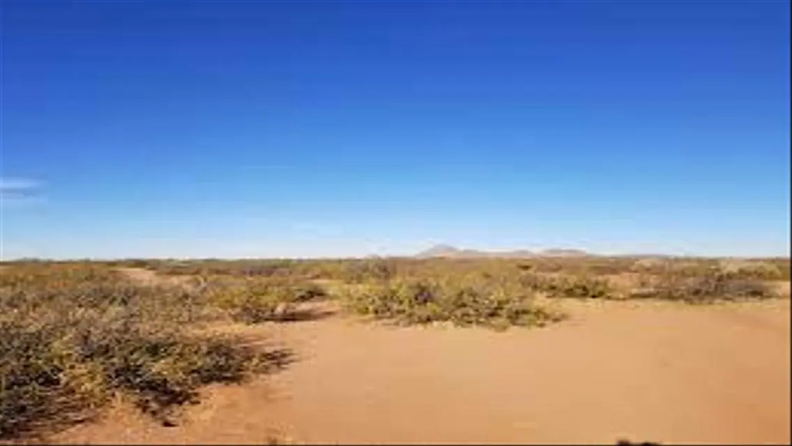 Luxury Properties for Sale with Spacious Area