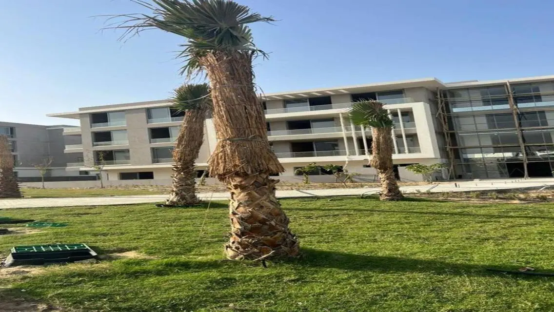 Stunning Villa with Expansive Space and Luxurious Amenities