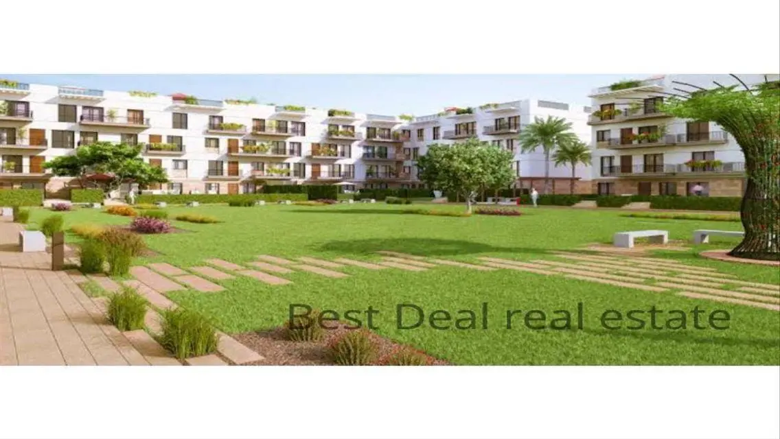 Best Real Estate Deal - 5 Apartments at Great Prices