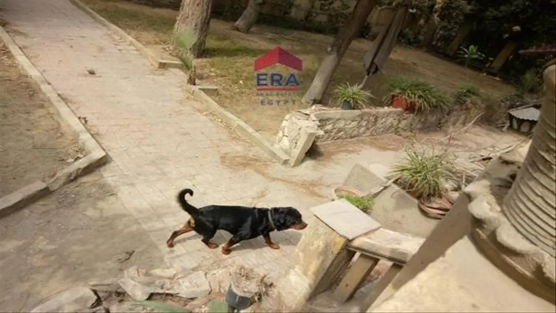 Luxury Villa for Sale with Spacious Design